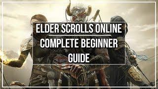 Elder Scrolls Online Complete Beginner Guide