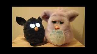 2012 and 2005 Furbies chat and sing together