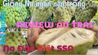 Vlog#43: Viet Garden thông báo nghỉ lễ 3 tuần - Review loại Na đặc biệt SSA đang rất được yêu thích.