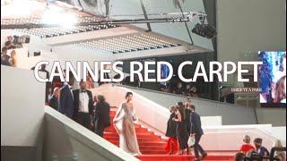 Tips for the red carpet of Cannes International Film Festival【明星们的红毯｜戛纳揭秘】