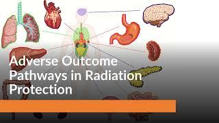 Adverse Outcome Pathways (AOPs) in Radiation Protection