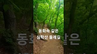 동화속 같은 심학산둘레길#파주#서울근교