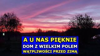 Dom z Wielkim Polem - A u Nas PIĘKNIE. Wątpliwości przed Zimą. Ogrzewanie, Ptaki, Szklarnia, Kuchnia