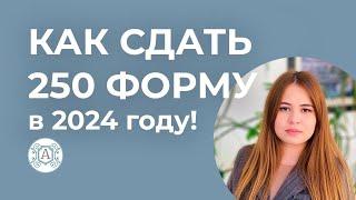 КАК СДАТЬ 250 ФОРМУ в 2024 году! Полная инструкция по Всеобщему декларированию в Казахстане!