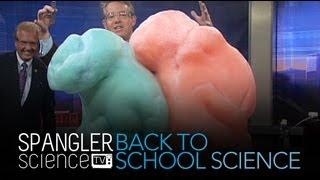 Back to School Science Elephant's Toothpaste - Cool Science Experiment