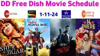 DD Free Dish Hindi Movie Schedule 1 November 2024 || DD Free Dish New Update 1 November 2024