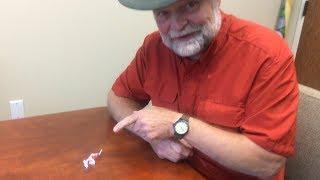 How to Make a Straw Paper Dinosaur with Buddy Davis