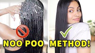 DON'T TRY THE NOO POO METHOD UNTIL YOU WATCH THIS!