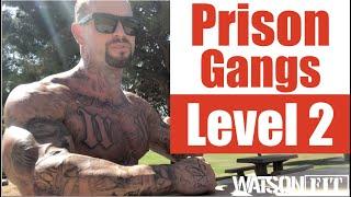 California Prison Gangs- Level 2