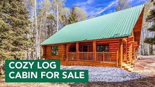 Best Log Cabin For Sale in Western Colorado?