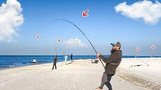 Throwing Cut Bait For Giant Bull Redfish! Every Bait Got Ate!