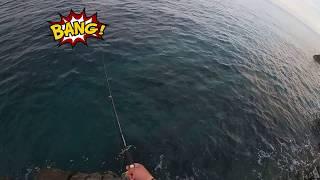 Montenegro Shore Fishing Little tunny without sound  Thanks for watching