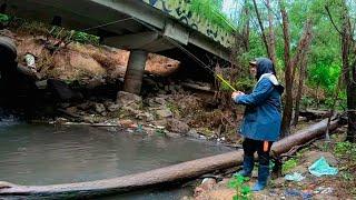 ACÁ TE ROBAN. Pesca en Rosario bajo la lluvia. pesca urbana