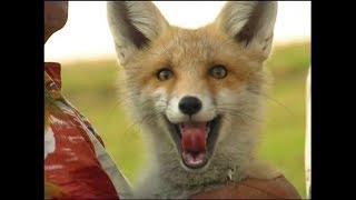 MAKING OF Jagdsaison  |  Hunting season