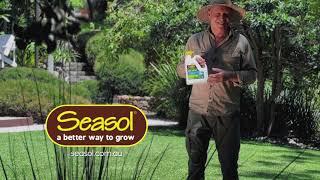 Seasol Organic* Iron for Deep Green Lawns - 15s