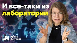 Немецкая разведка выяснила происхождение коронавируса