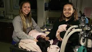 Jefferson College Foundation: Veterinary Technology Expansion