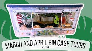 Rat Bin Cage Setups March And April 24