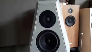 Grey Custom Loudspeaker - Beethoven Cello Sonatas