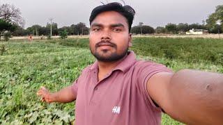 Dhanraj tech support  is live ki
