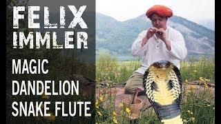 The Magic Dandelion Snake Flute / Die magische Schlangenflöte aus Löwenzahn