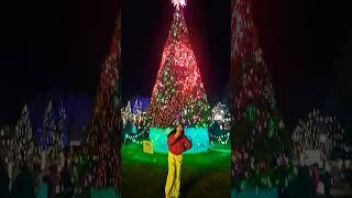 Underneath the Tree #slay #pretty #christmas #preppy #tree #trending #trendy #viral #cloudsy