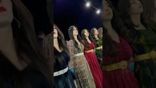 KURDİSH GİRL DANCE  #bybedo #kurdish #halay #düğün #altın #music #wedding #india #indian