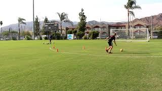 Kasey Kline | Training Video
