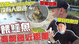 全马Youtuber没有人做过！！挑戰超近距離餵鱷魚！！【vlog】#131