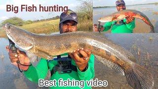 Fishing videos | Big Snakehead Fish catching | Big murral fish | Ahtesham khan fishing | Fishing