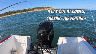 Day out at Cowes, chasing the Whiting!