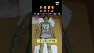 [사자성어 1분퀴즈]  정도를 지나치면 미치지 못한것과 같다 [신서유기,지구오락실,출장십오야] 중학국어 고등국어 언어영역 기본상식 상식퀴즈 재미있는 고사성어 #shorts