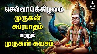 TUESDAY Murugan Suprabatham & Murugan Kavasam | SPL MURUGAN TAMIL DEVOTIONAL SONGS