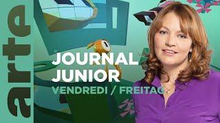 De moins en moins de papillons | ARTE Journal Junior