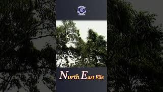 North East File | Economy, Theatre & Cultural Traditions | Episode -5
