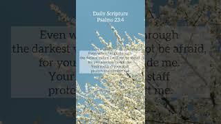 Daily Scripture #biblestudy #dailyscripturereading #dailyscripture #jesuslovesyou #christianity