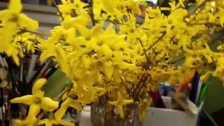 Loose Painting Forsythia In Watercolor