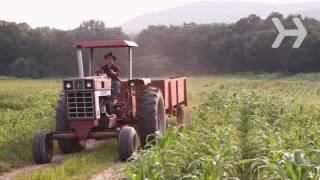 How to Set Up a Hayride