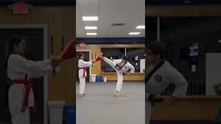 Tang Soo Do Spin Kicking - Offensive & Defensive Application