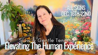 WEEKLY MESSAGES “The Power Of The Pause, Emotional Fulfillment + Deep Healing” DEC 16TH-22ND