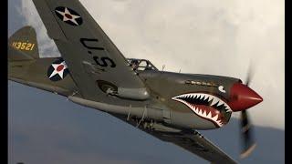 P-40E Warhawk 1/48 scale model (Eduard)