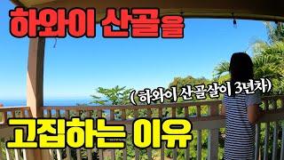 도시인이 상상할수 없는 하와이 산골살이 |  쓰레기 대국 미국이 분리수거를 하지 않는 열받는 이유