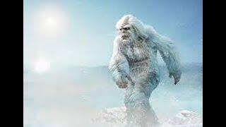 Bigfoot Day Sighting, Utah Sasquatch Traversing Deep Snow February 2023! UPDATE Link snow has melted