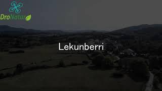 lekunberri