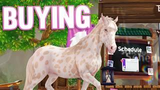 BUYING NEW HORSE + Champion Ranks | Star Stable