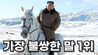 김정은 태운 말 진짜 괜찮을걸까?