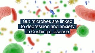 The gut microbiome is linked to depression and anxiety in Cushing’s disease