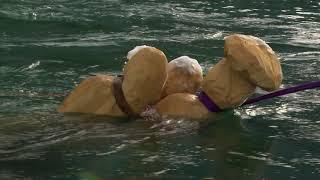 Pfahlbau unter Wasser - Figurenwald - Tauchen am Attersee