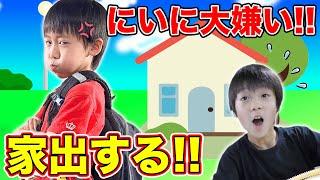 【寸劇】しおんくんがかなとくんとケンカして家出！？テント生活！？仲直りできるかな！？教育 兄弟ケンカ