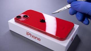 iPhone 14 Unboxing and Camera Test - ASMR